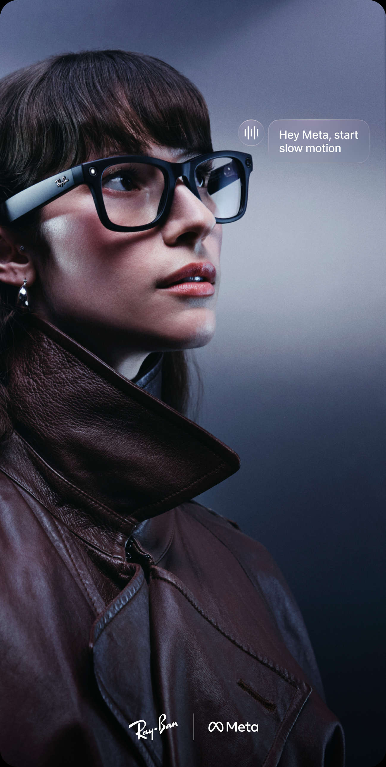 Meta Wearables Portfolio — Shared language — Ray-Ban